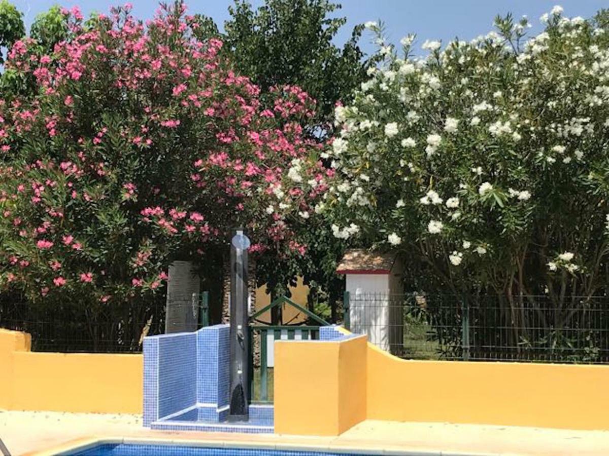Résidence les Caraibes Sérignan Exterior foto